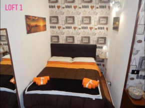 Loft CASA PROFESSA 1